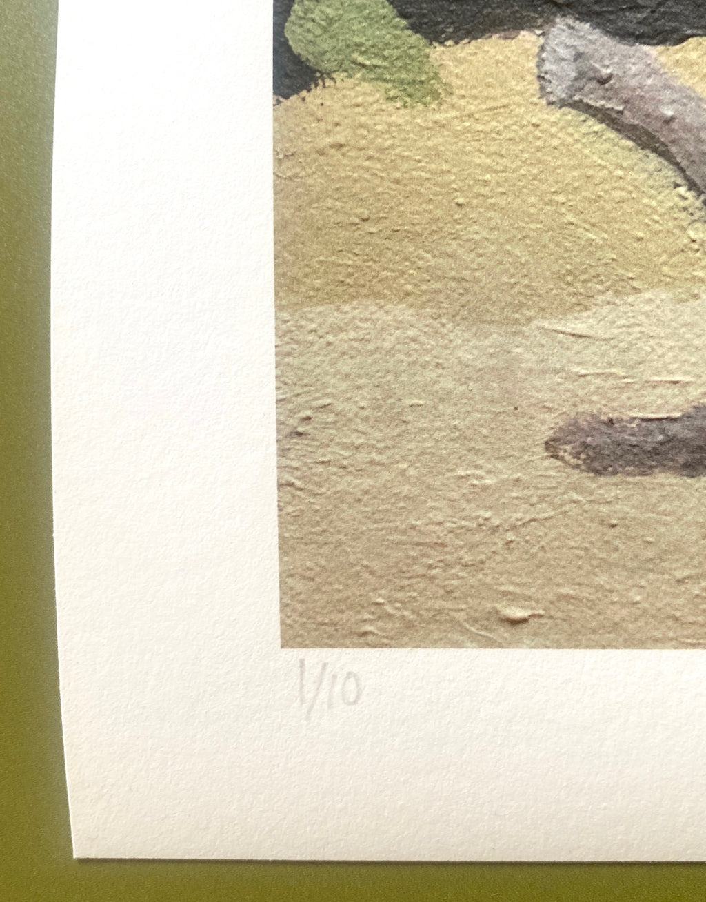 Giclee Print: Jade Plant, Mt. Washington