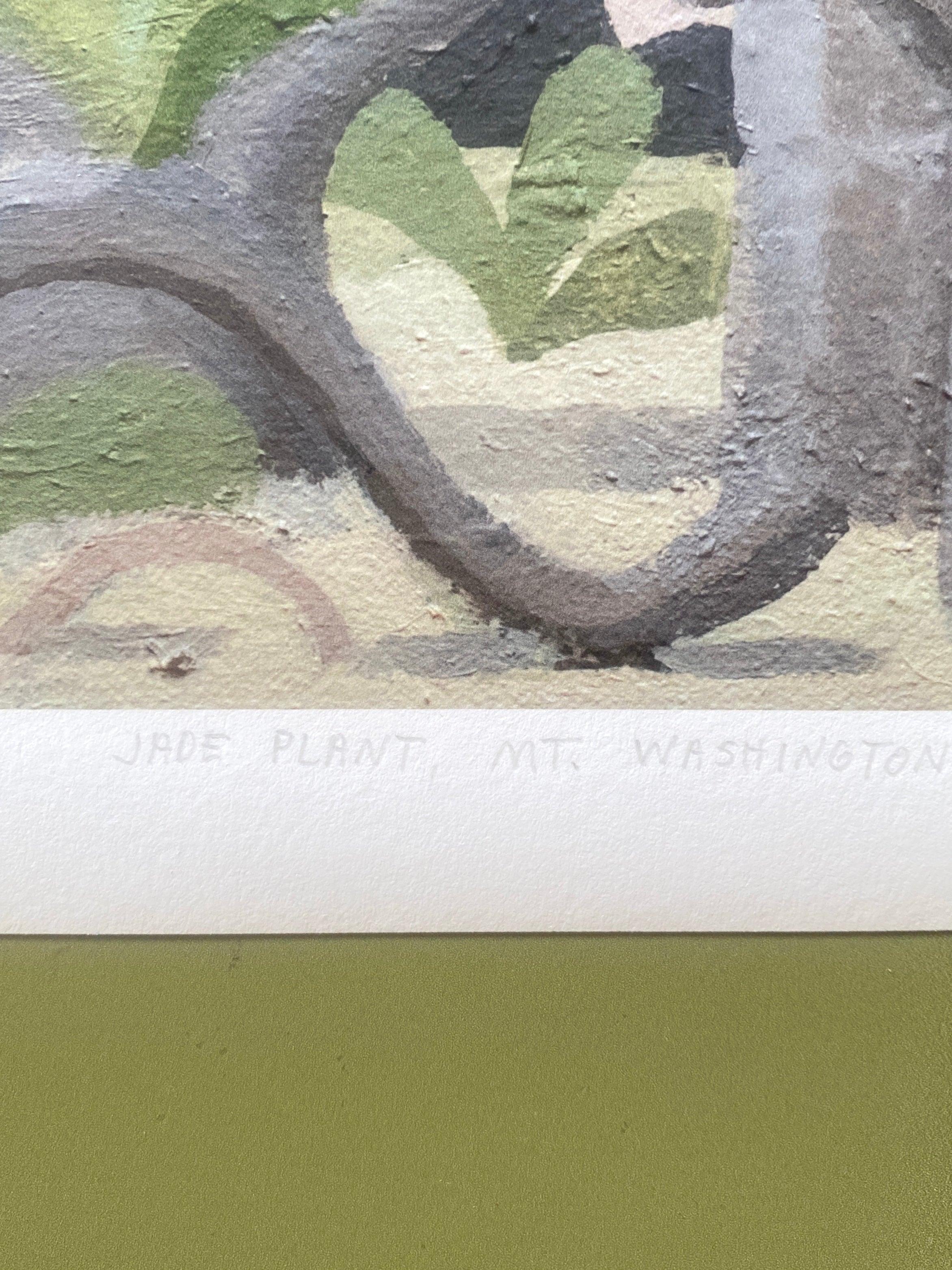 Jade Plant, Mt. Washington, Giclee Print