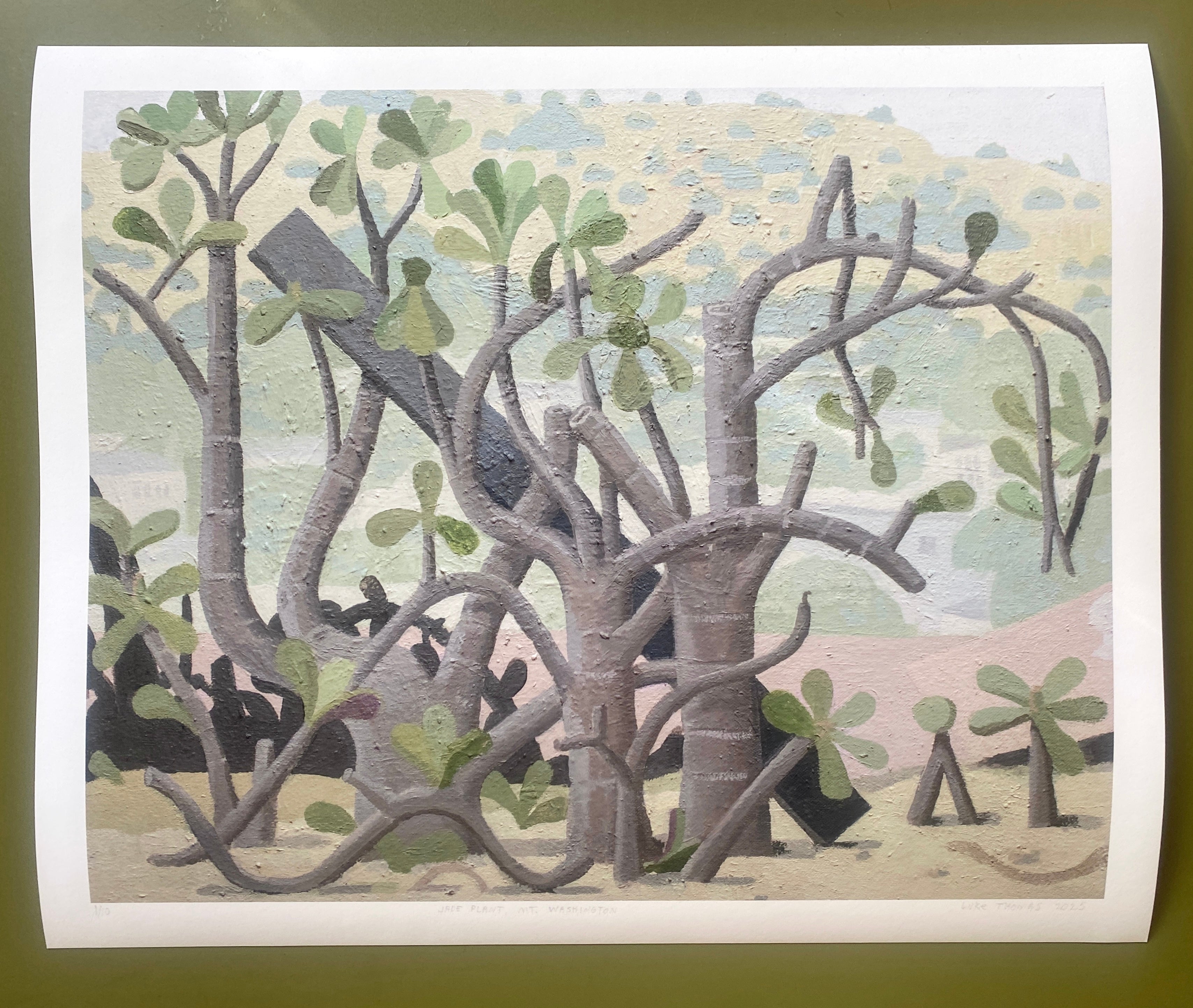 jade plant watercolor Giclee Print: Jade Plant, Mt. Washington – Luke Thomas Art Mall