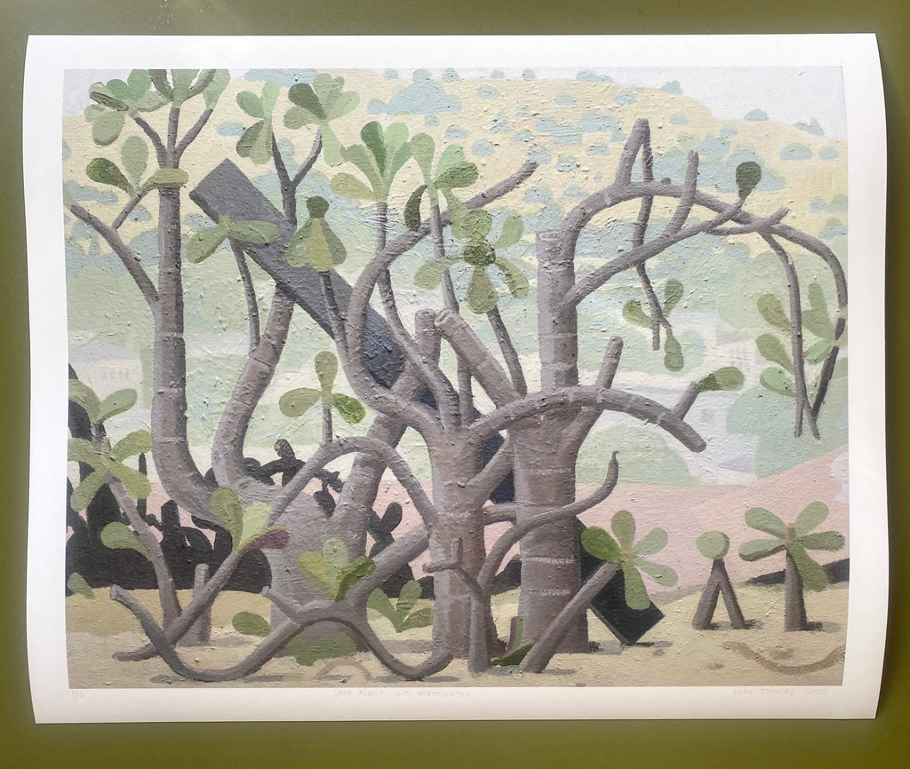 Giclee Print: Jade Plant, Mt. Washington