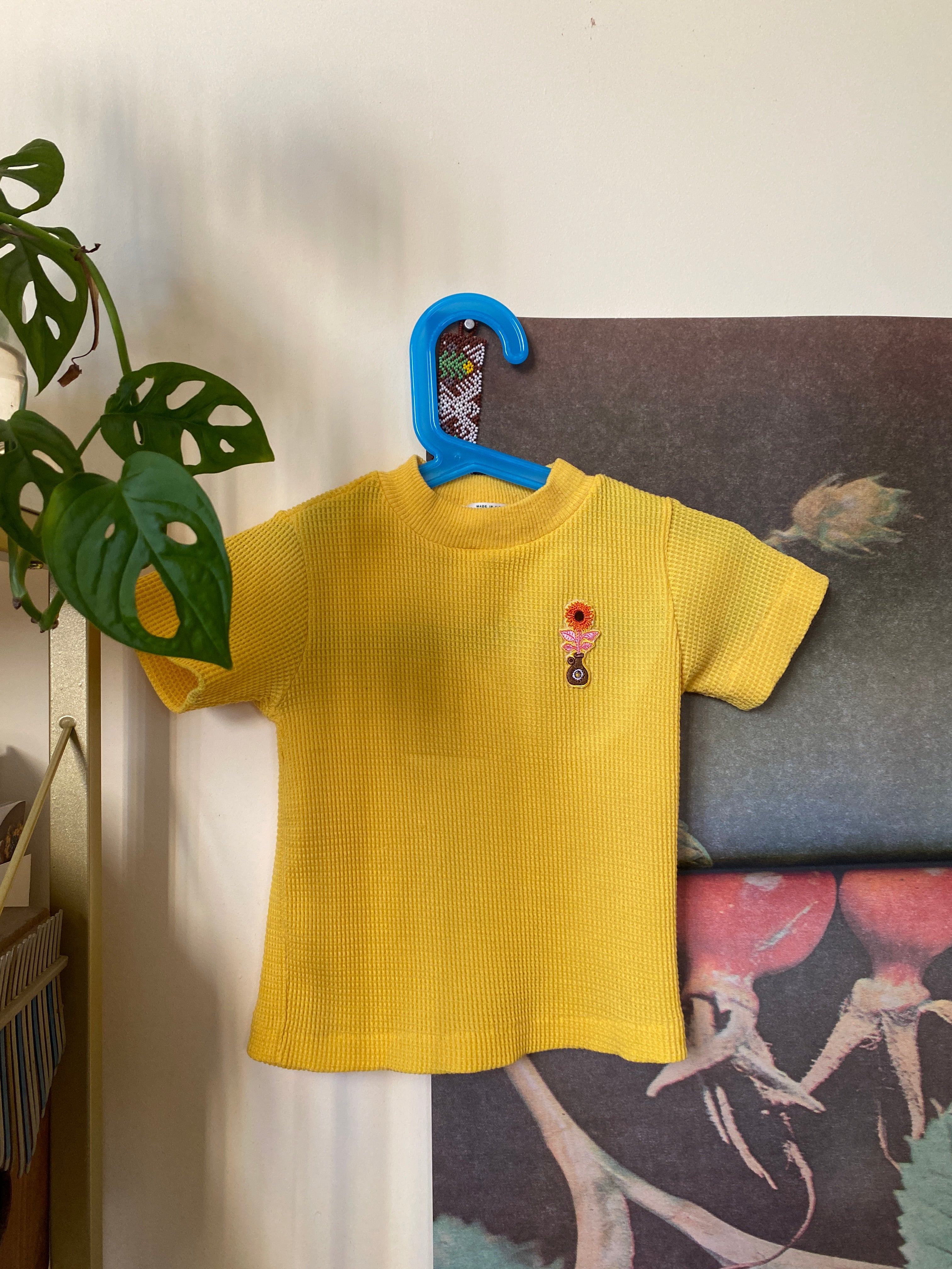 Garden Patches (Crop 1)